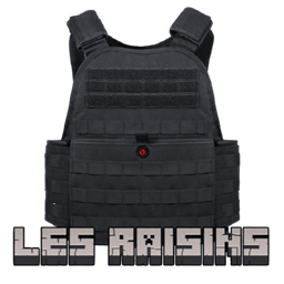 [SBW] LesRaisins armor compatibility project avatar