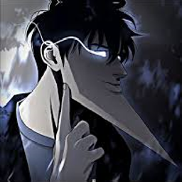 Zoni's Solo Leveling project image