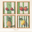 Summer Fruit Paiting by BlusterSims logo