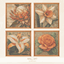 Vintage Orange Flowers by BlusterSims logo