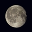 Moon's Hammer logo