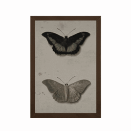 Dark Academia 0204 logo