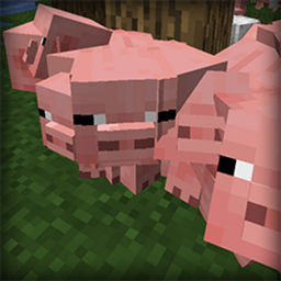 Mob Collision Off