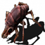 Bitercraft logo