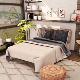 Braile Bedroom
