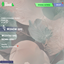 Main Menu Overrides - Flowers logo