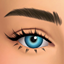 Brows 66 HQ logo