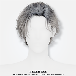 [Hezeh]Hair_No.66