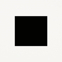 Black Box