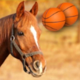Horse Balls logo