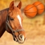Horse Balls logo