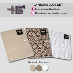 Planners set 2025