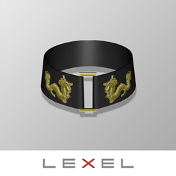 LEXEL a.k.a Mr.Alex - Victim ( choker ) project image