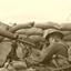 Historical War Uniforms logo