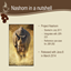 Project Nashorn logo