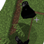 no0 players online logo
