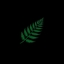 Ferns to use logo