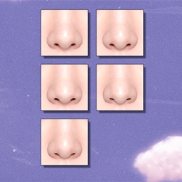 nose presets logo