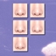 nose presets logo