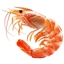 Shrimp's Fried Rice logo