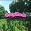 Cozywozy logo