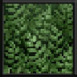 Soartex Forever project image