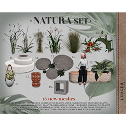 Natura Set logo