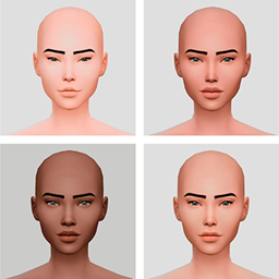 SIMS base V1