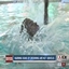 WET logo