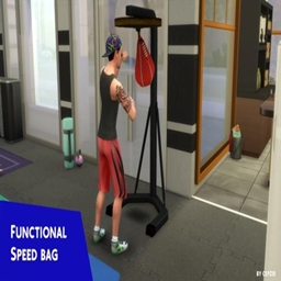 Functional Speed Bag by Cepzid | Chinese Translation