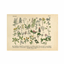 Botanical Horizontal Posters logo