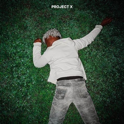 project-1244511