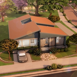 Brazilian Blue House
