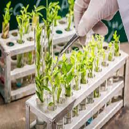 BotanicalGenetics project image