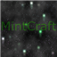Mintcraft logo