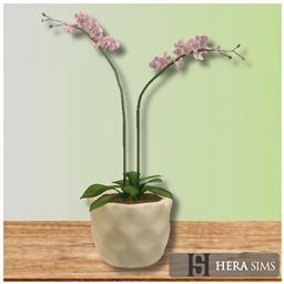 Pink orchidea logo