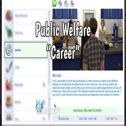 Simularity Public Welfare Career / translation spanish by Monisims