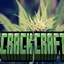 Crack craft avatar