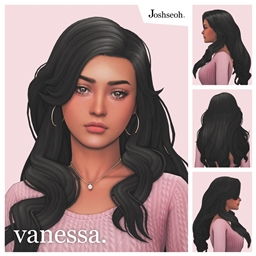 Vanessa Hair logo