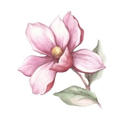Temple of Life logo