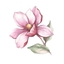 Temple of Life logo
