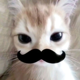 bbu