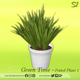 Green Time Potted plant 1 🌿