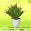 Green Time Potted plant 1 🌿 logo
