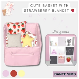 Cute basket with strawberry blanket