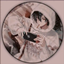Demomorph logo