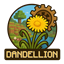 Dandellion S8 logo