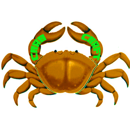 CrabCraft logo