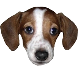 Morbi's Modpack logo
