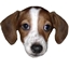 Morbi's Modpack logo